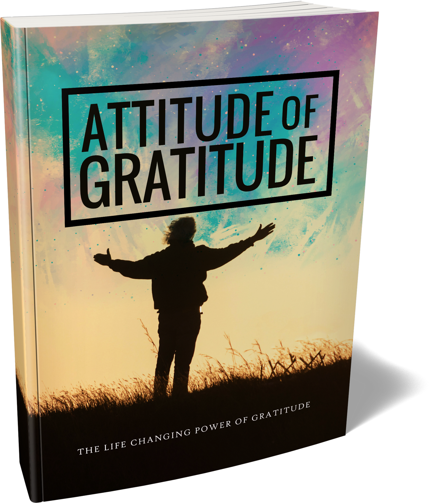 Attitude of Gratitude